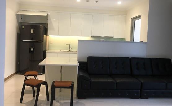 Apartment for rent in binh thanh district BT105L527 (3)